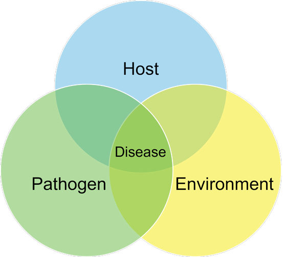 Disease triangle