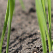 production-resource-04-bg-opt