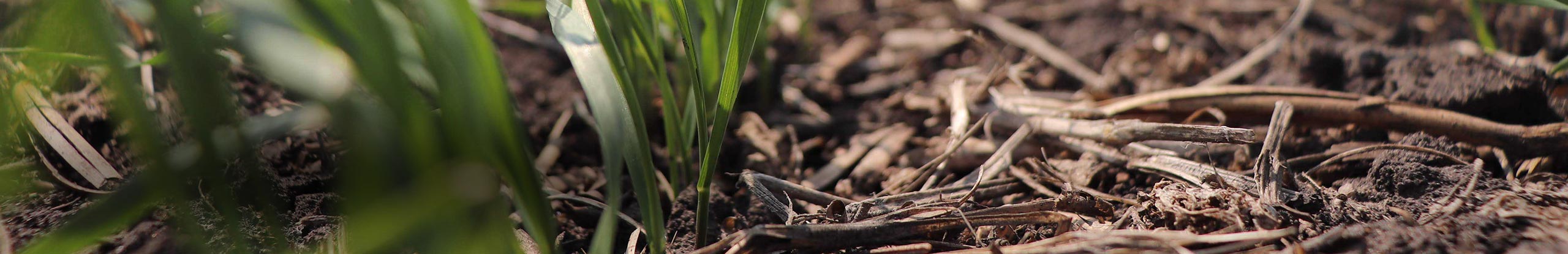 Crop Germination and Soil Temperatures