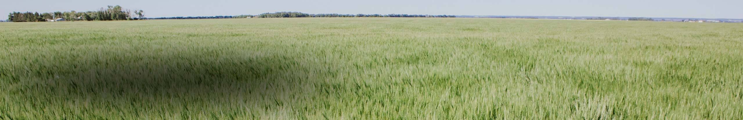 Optimizing crop rotations to enhance agronomic, economic and environmental performance