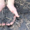 clay soil (1)