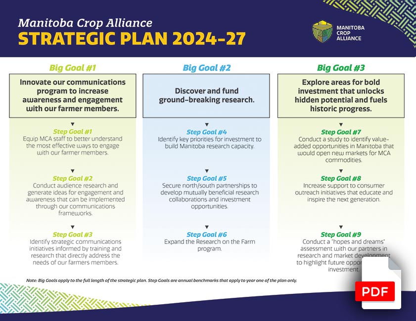Download MCA Strategic Plan (pdf)