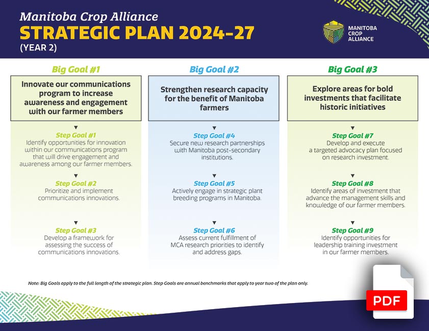 Download MCA Strategic Plan (pdf)