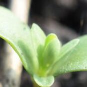 WEB_PAGE-HEADER_DSC_0049-(2)