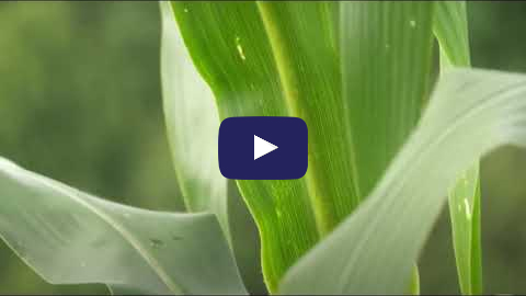 4R Nutrient Stewardship in Manitoba