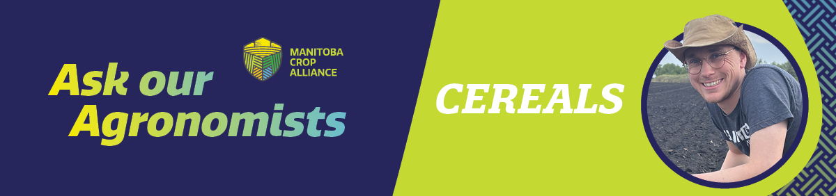 MCA_AoA Headers CEREALS