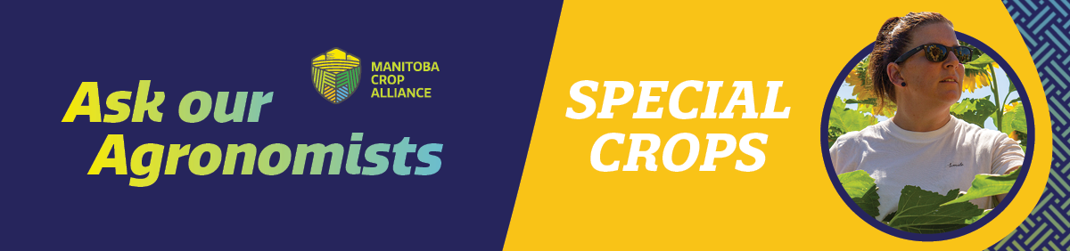 MCA_AoA Headers SPECIAL CROPS