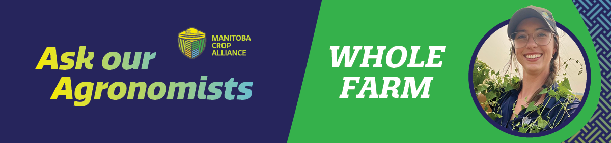 MCA_AoA Headers WHOLE FARM