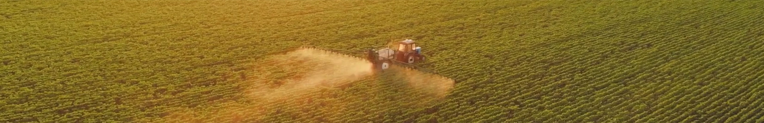 Herbicides aren’t the only option for kochia control